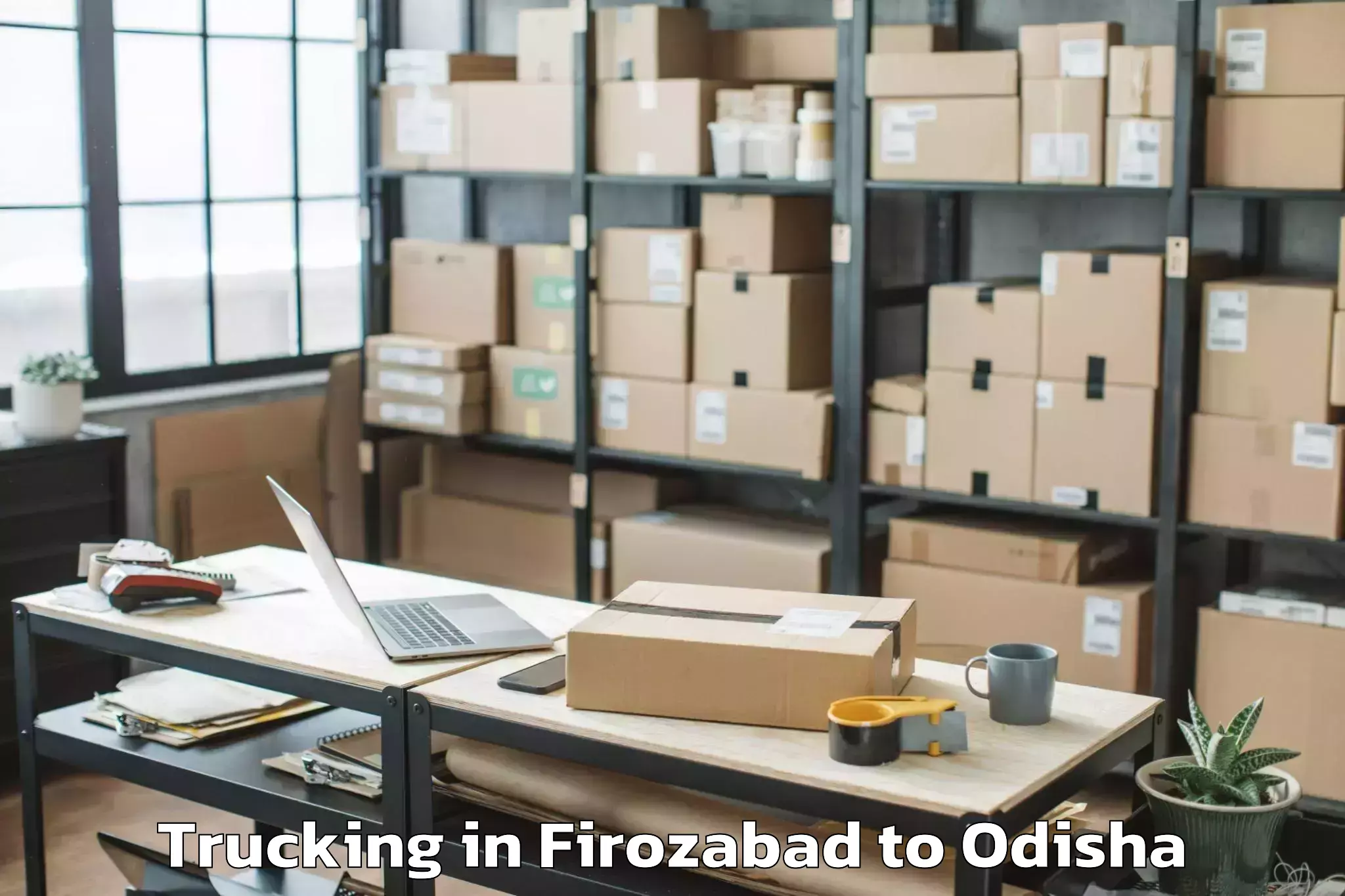 Book Firozabad to Purunakot Trucking